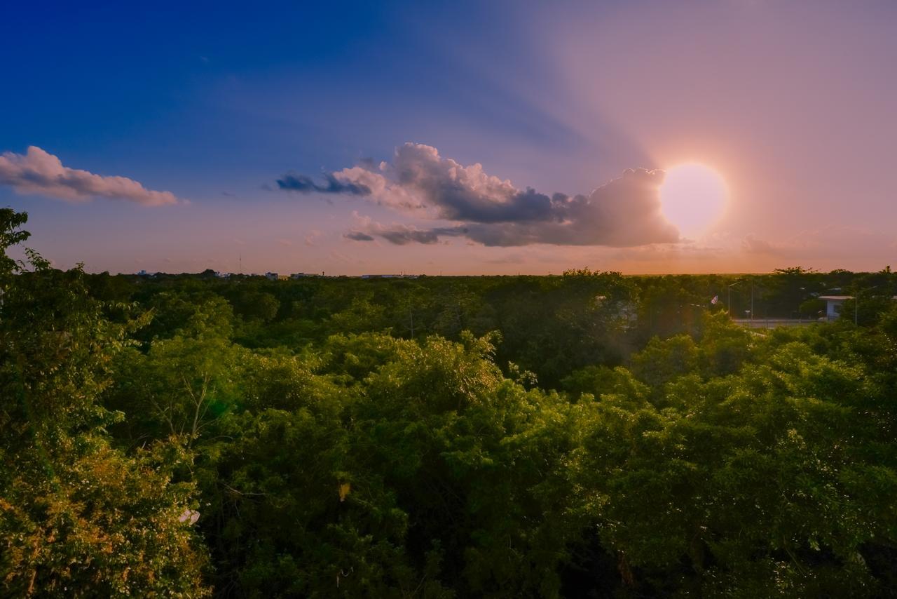 Condo Casa Del Arbol Playa del Carmen Kültér fotó